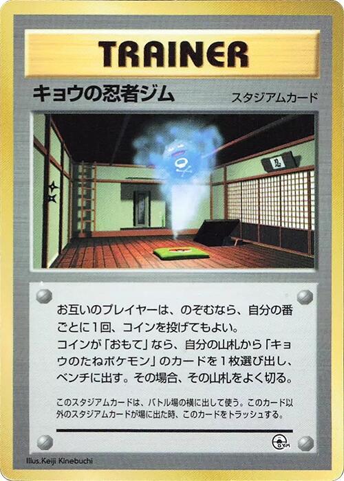 Kogas Ninja Gym
