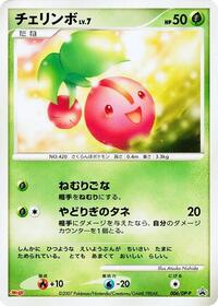 Cherubi 006 DP P