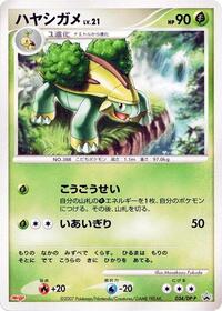 Grotle 034 DP P