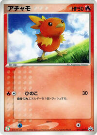 Torchic 017 ADV P