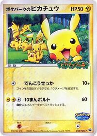 PokeParks Pikachu 043 PCG P