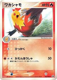 Combusken 065 PCG P
