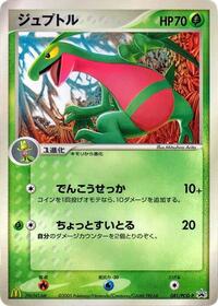 Grovyle 081 PCG P