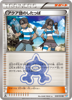 Team Aqua Grunt