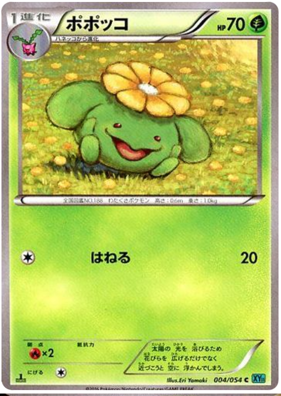 Skiploom