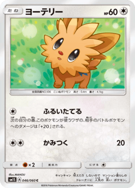Lillipup