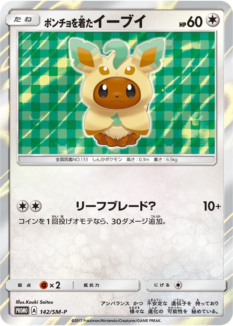 Poncho Eevee