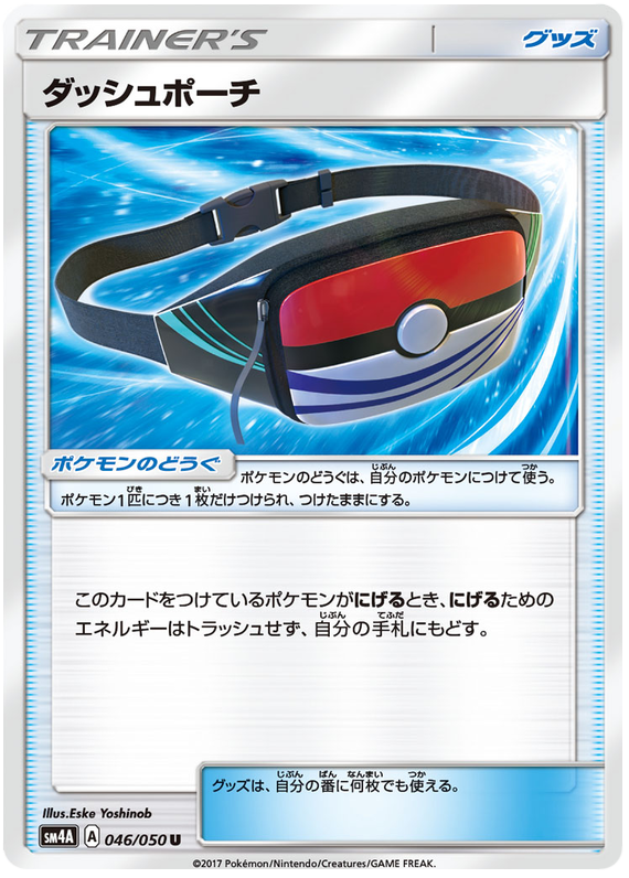 Dash Pouch