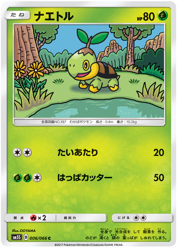 Turtwig