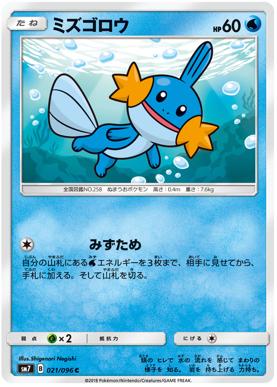 Mudkip