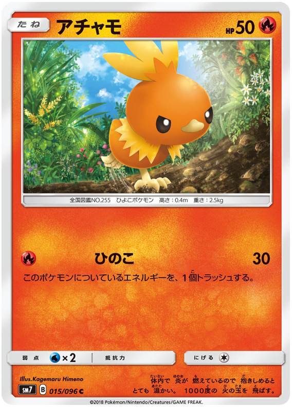 Torchic