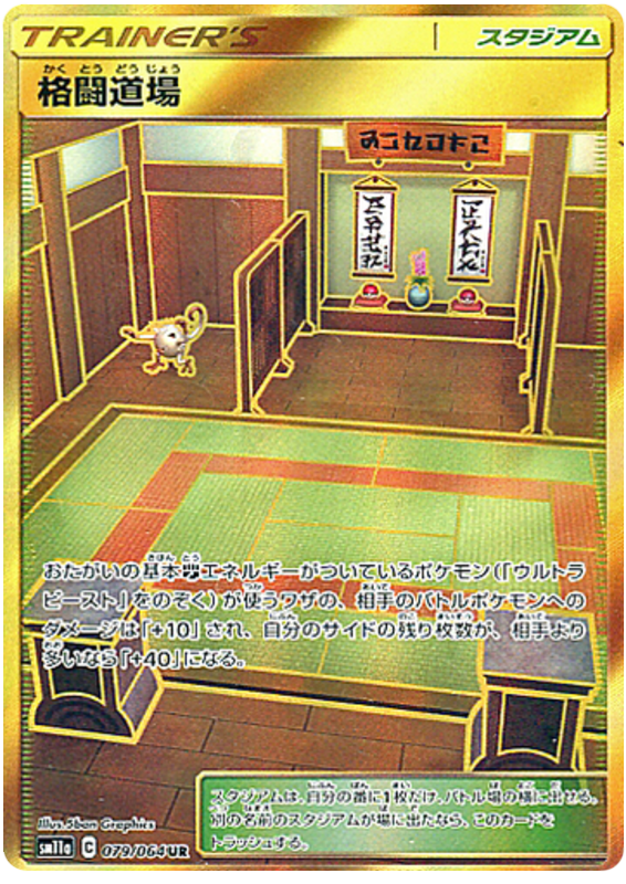 Fighting Dojo