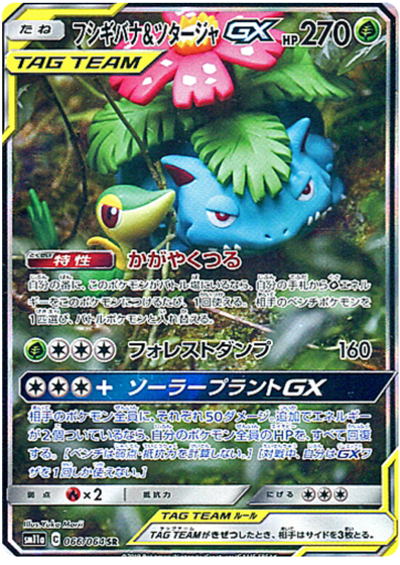 Venusaur & Snivy GX
