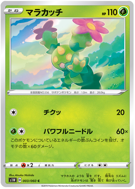 Maractus