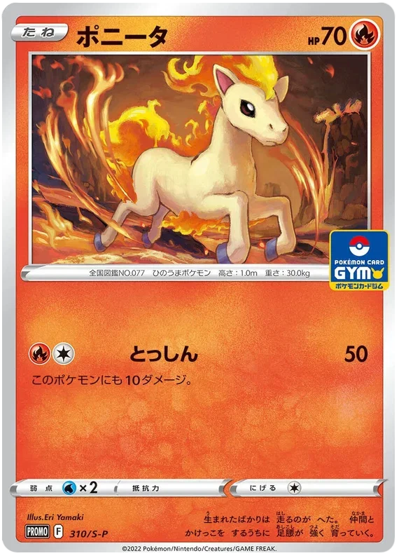 Ponyta