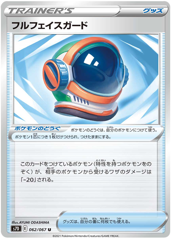 Full Face Guard