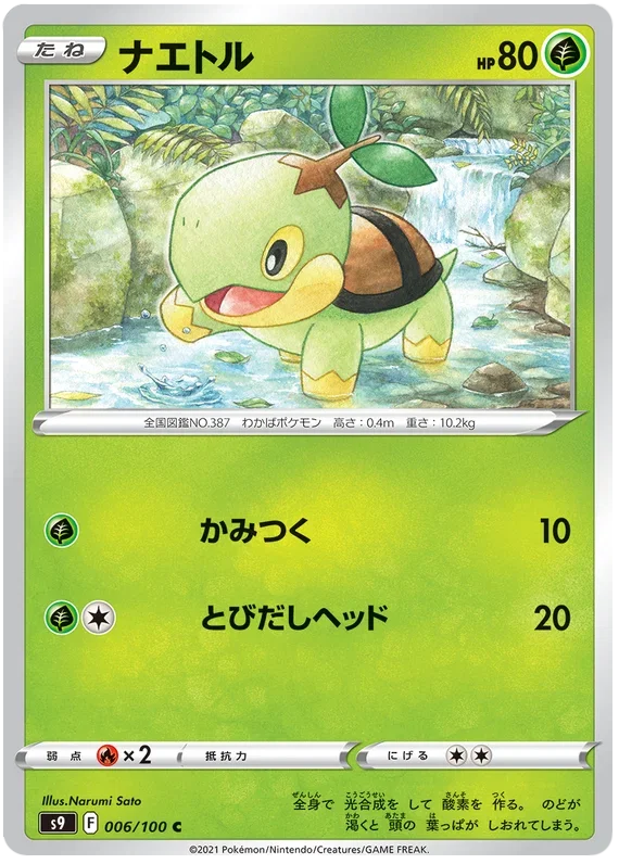 Turtwig - Star Birth