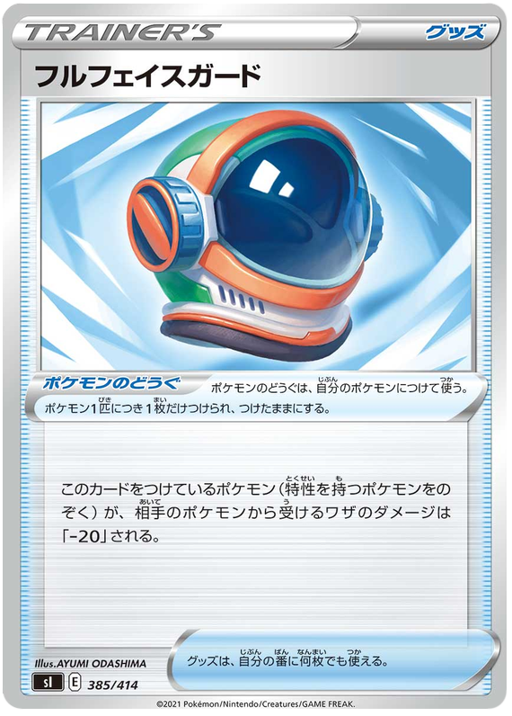 Full Face Guard