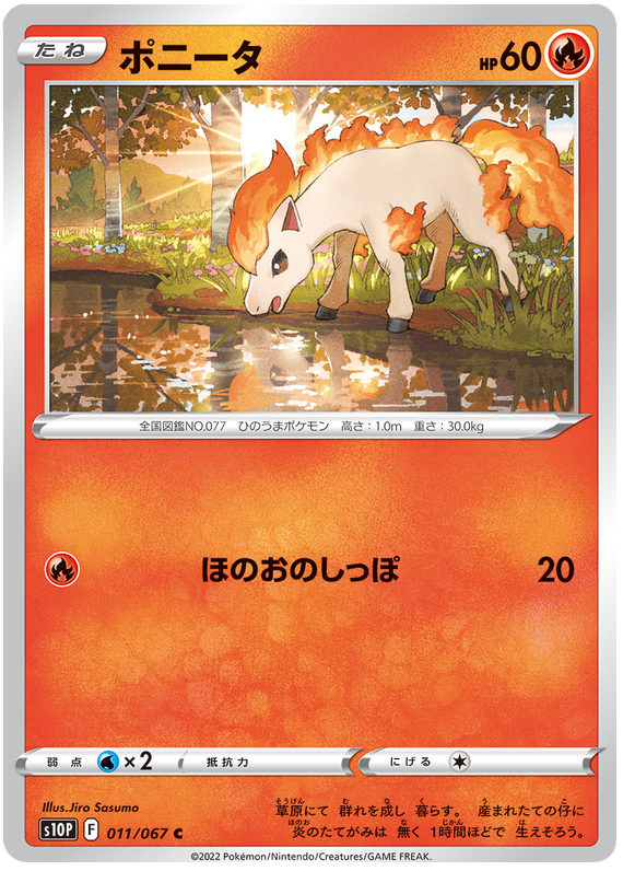 Ponyta