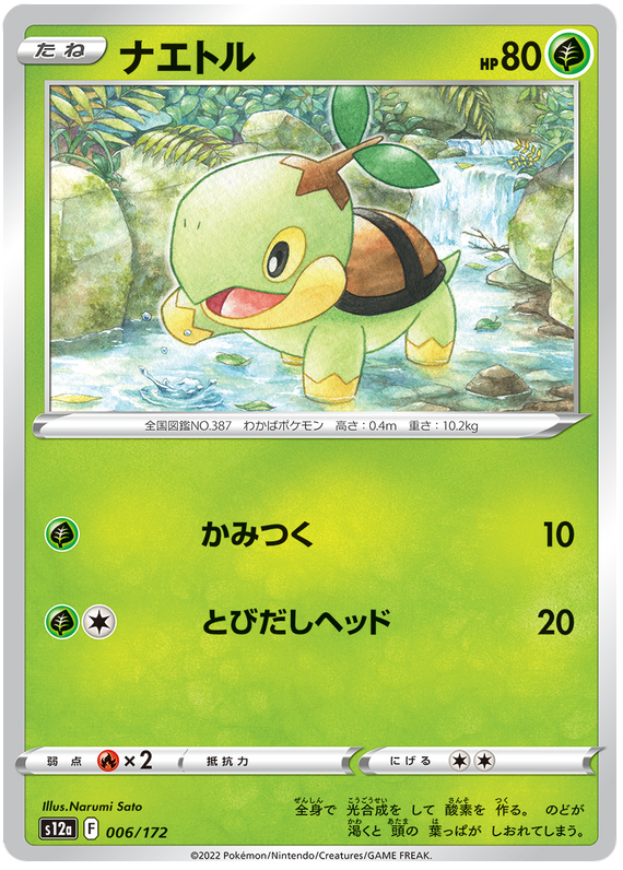 Turtwig