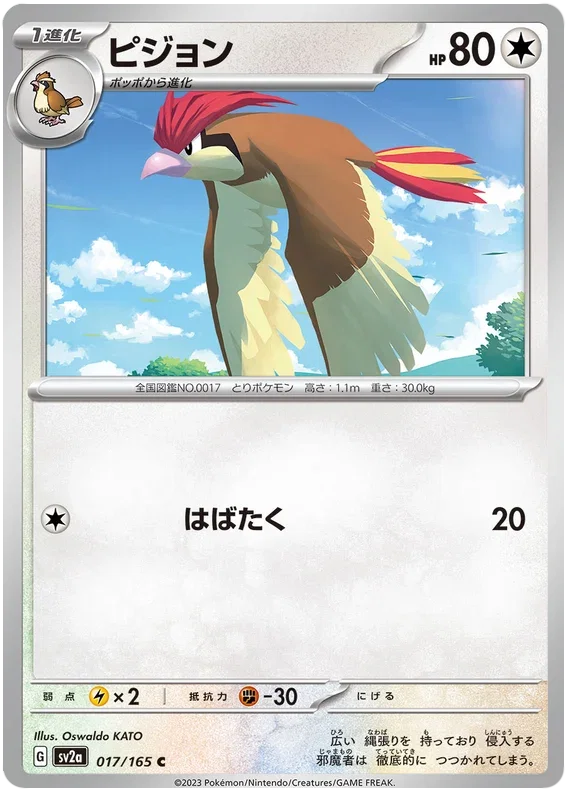 Pidgeotto - Pokemon 151