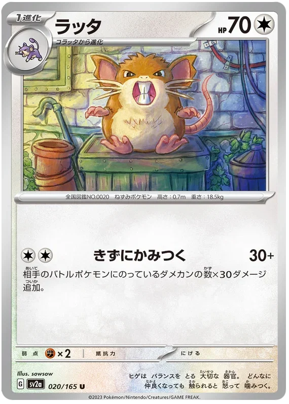 Raticate - Pokemon 151