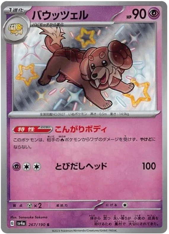 Dachsbun - Shiny Treasure ex