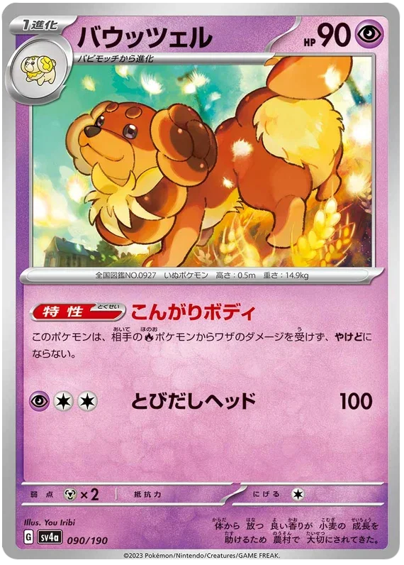 Dachsbun - Shiny Treasure ex