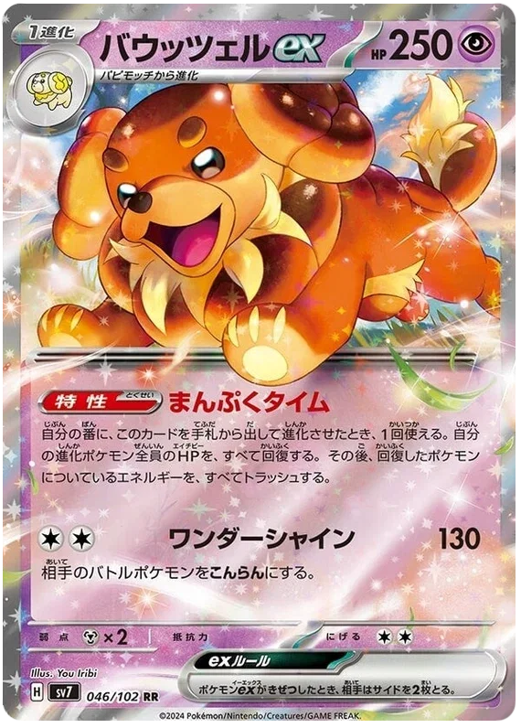 Dachsbun ex - Stella Miracle
