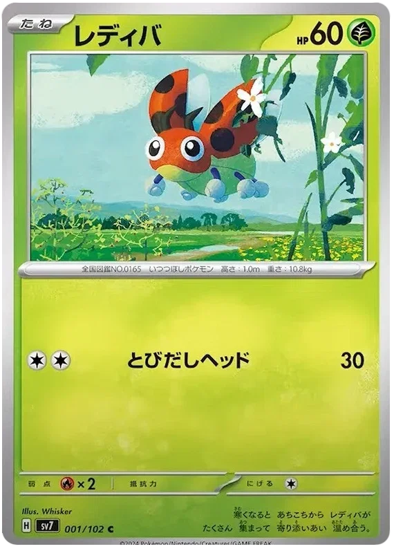 Ledyba - Stella Miracle