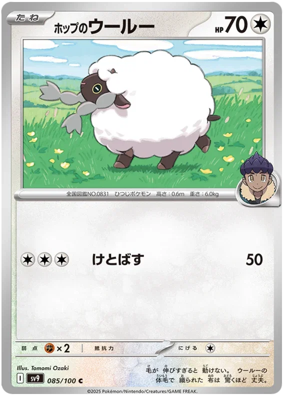 Hop's Wooloo - Battle Partners