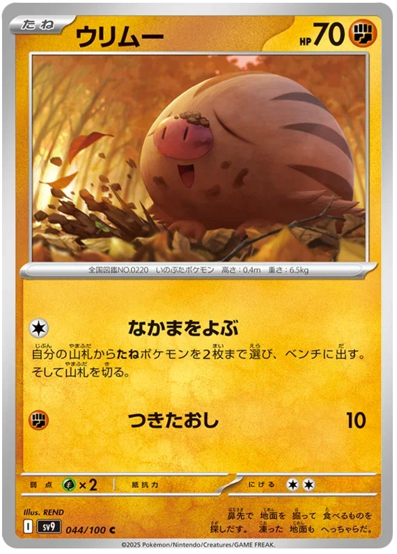 Swinub - Battle Partners
