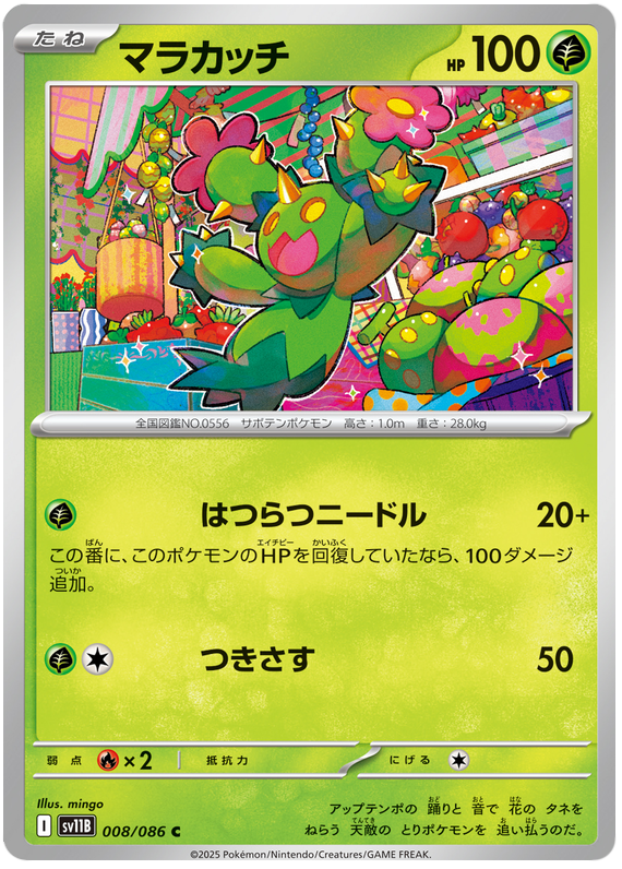 Maractus