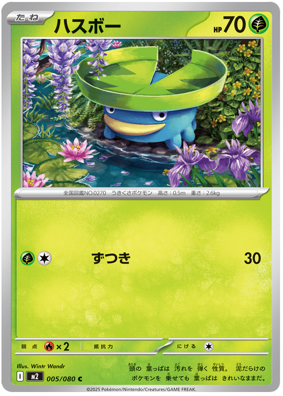 Lotad