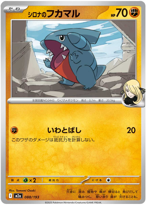 Cynthia's Gible