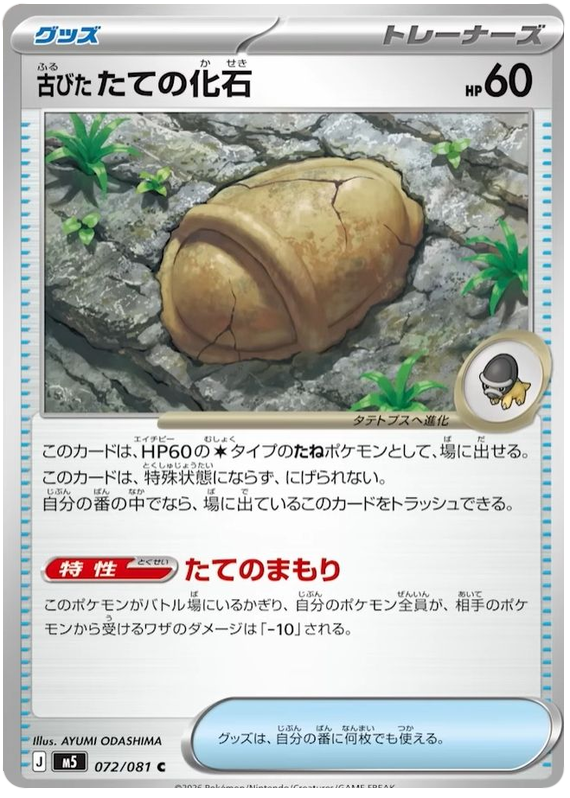 Antique Armor  Fossil