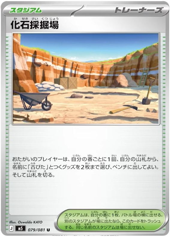 Fossil Excavation Site
